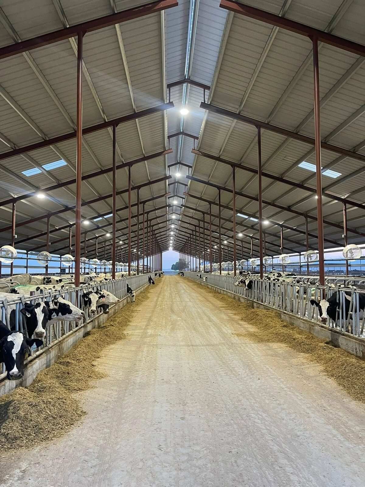 Dairy electrical